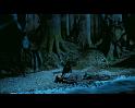 PDVD_2788