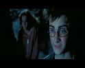 PDVD_2789