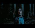 PDVD_2830