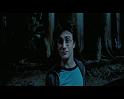 PDVD_2831