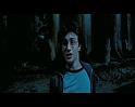 PDVD_2832