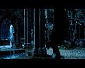 PDVD_2868