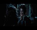 PDVD_2886