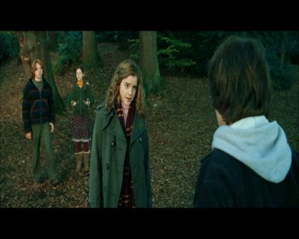 PDVD_1124.jpg