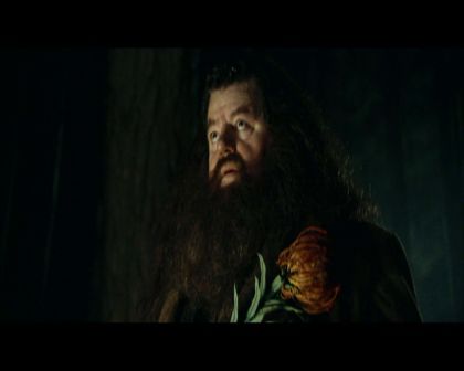 PDVD_1155.jpg