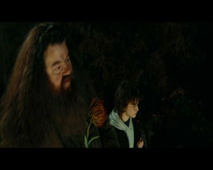 PDVD_1161.jpg