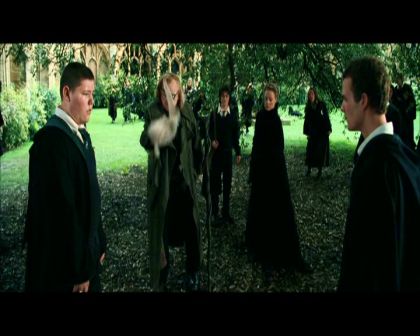 PDVD_1303.jpg