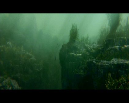 PDVD_2423.jpg