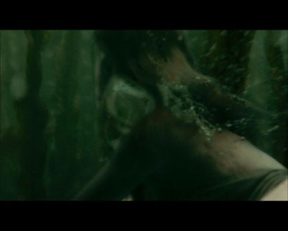 PDVD_2440.jpg