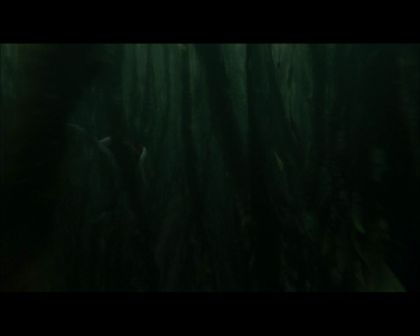 PDVD_2447.jpg