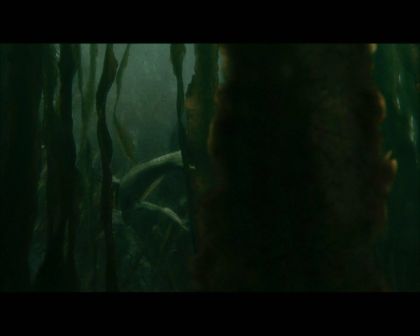 PDVD_2451.jpg