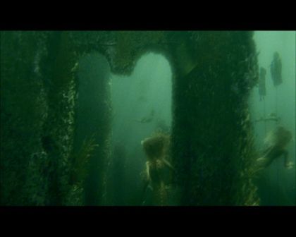 PDVD_2473.jpg