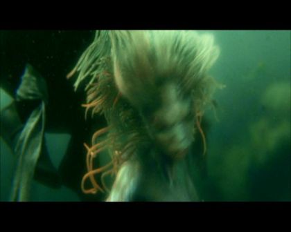 PDVD_2486.jpg