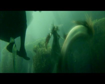 PDVD_2490.jpg