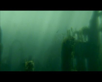 PDVD_2507.jpg
