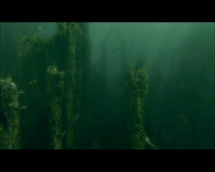 PDVD_2508.jpg