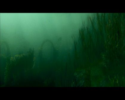 PDVD_2529.jpg
