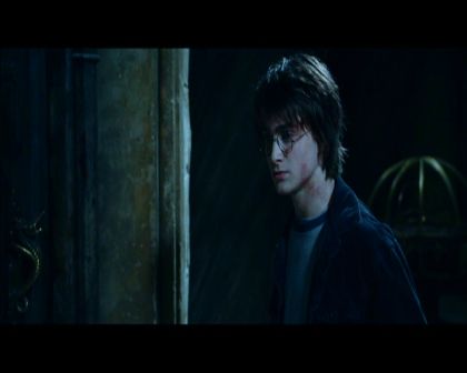 PDVD_2677.jpg