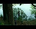 PDVD_1110