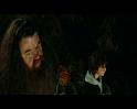 PDVD_1163