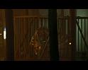 PDVD_1204
