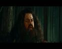 PDVD_1207