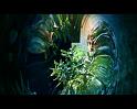 PDVD_1251