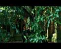 PDVD_1271