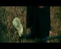 PDVD_1297