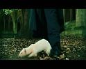 PDVD_1315