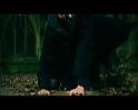 PDVD_1317