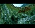 PDVD_1512