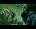 PDVD_1527