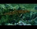 PDVD_1541