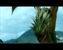 PDVD_1543