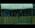 PDVD_1550