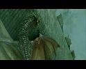 PDVD_1588