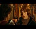PDVD_1675