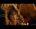 PDVD_1690