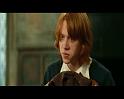 PDVD_1765