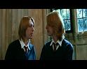 PDVD_1786
