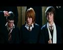 PDVD_1795