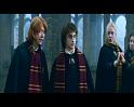 PDVD_1834