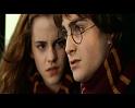 PDVD_2228