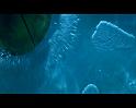 PDVD_2294