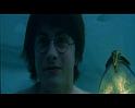 PDVD_2305