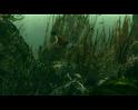 PDVD_2420