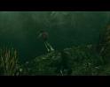 PDVD_2421