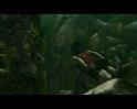 PDVD_2426