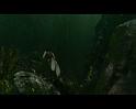 PDVD_2427